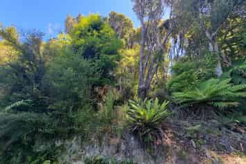 20 Kaka Ridge Road, Stewart Island