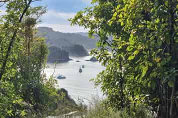 20 Kaka Ridge Road, Stewart Island
