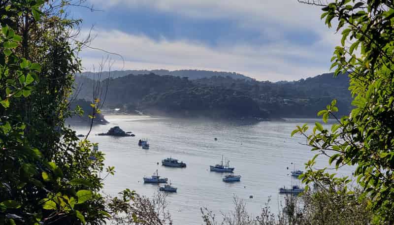 20 Kaka Ridge Road, Stewart Island