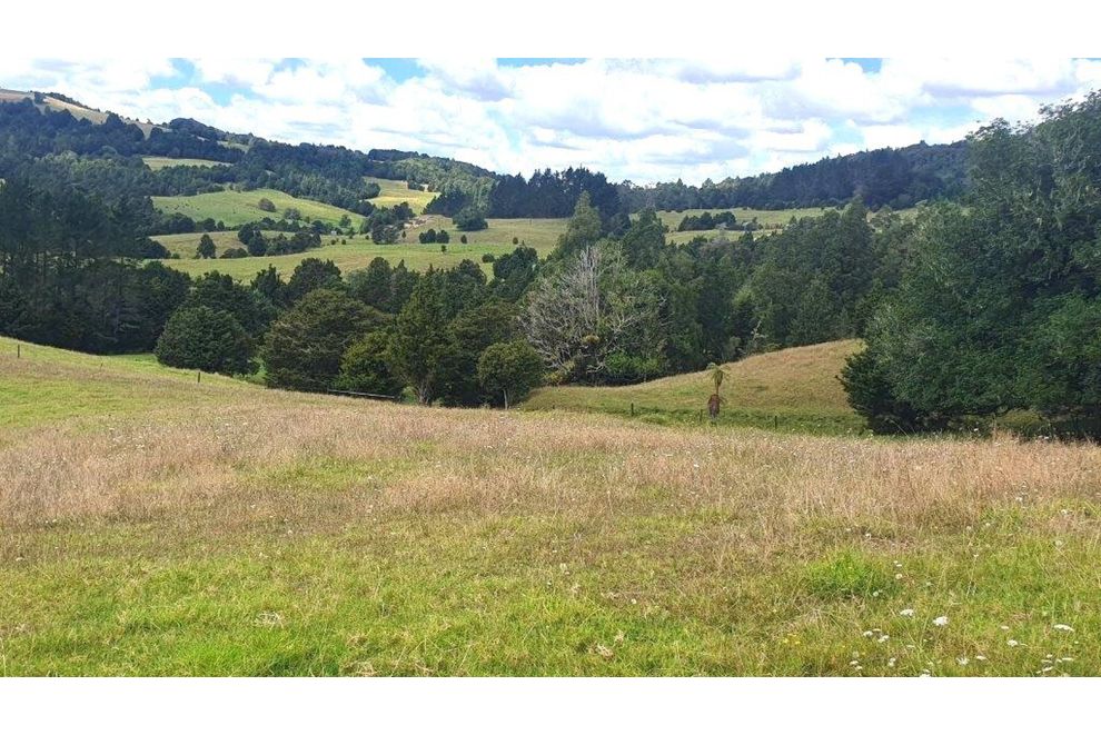 173 Monument Road, Hukerenui, Whangarei For Sale realestate.co.nz