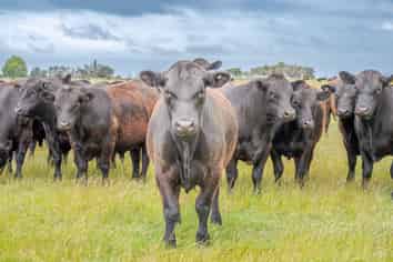 247 Seabridge Road, Motukarara