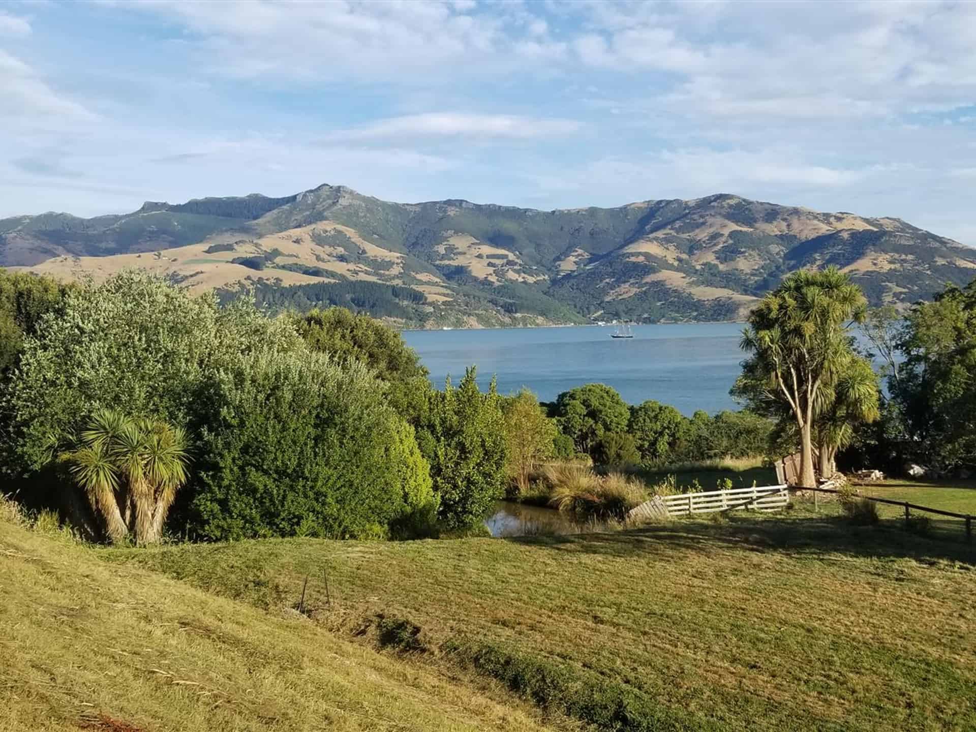 Wainui Homes and Real Estate for Sale realestate.co.nz