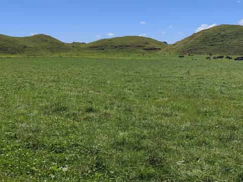 523 Mid Kahui Road, Rahotu