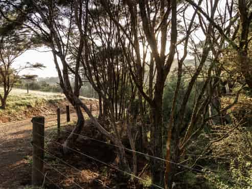 59B Hikurangi Road, Katikati