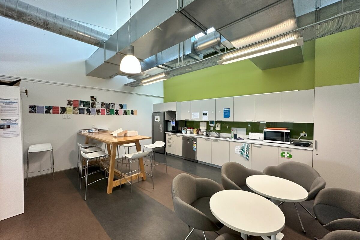 High Quality Office in the Heart of Henderson - Vista 6