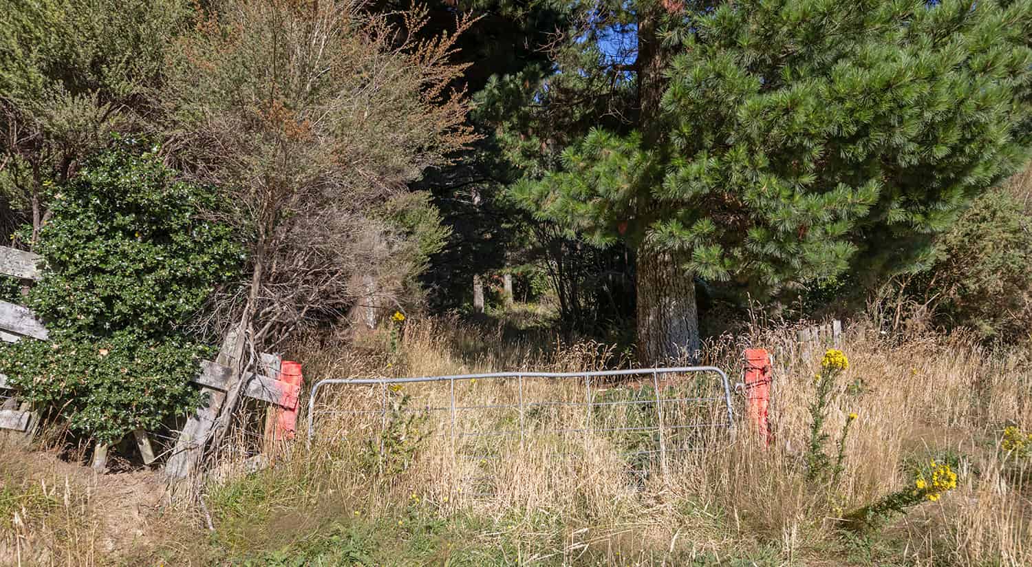 State Highway 2, Eketahuna, Tararua For Sale realestate.co.nz