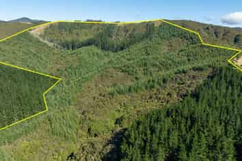  State Highway 2, Eketahuna