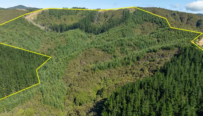  State Highway 2, Eketahuna