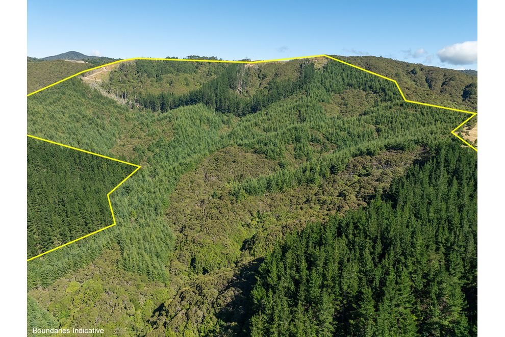 State Highway 2, Eketahuna, Tararua For Sale realestate.co.nz