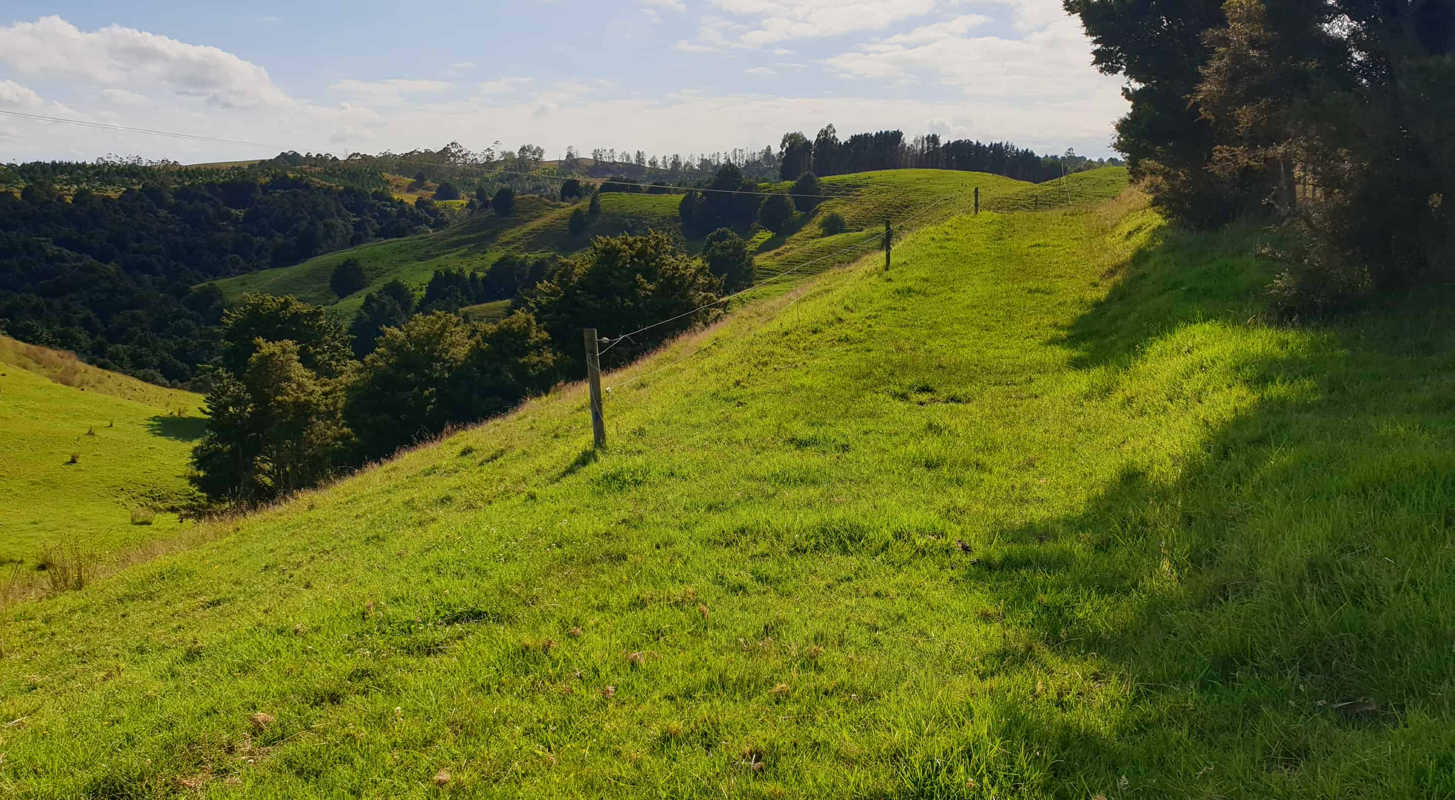Lot 2/347 Porter Road, Paparoa, Kaipara For Sale realestate.co.nz