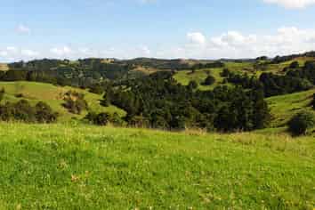 Lot 2/347 Porter Road, Paparoa