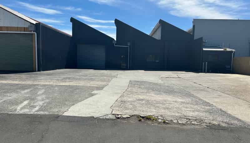 115 Fryatt Street, Dunedin Central