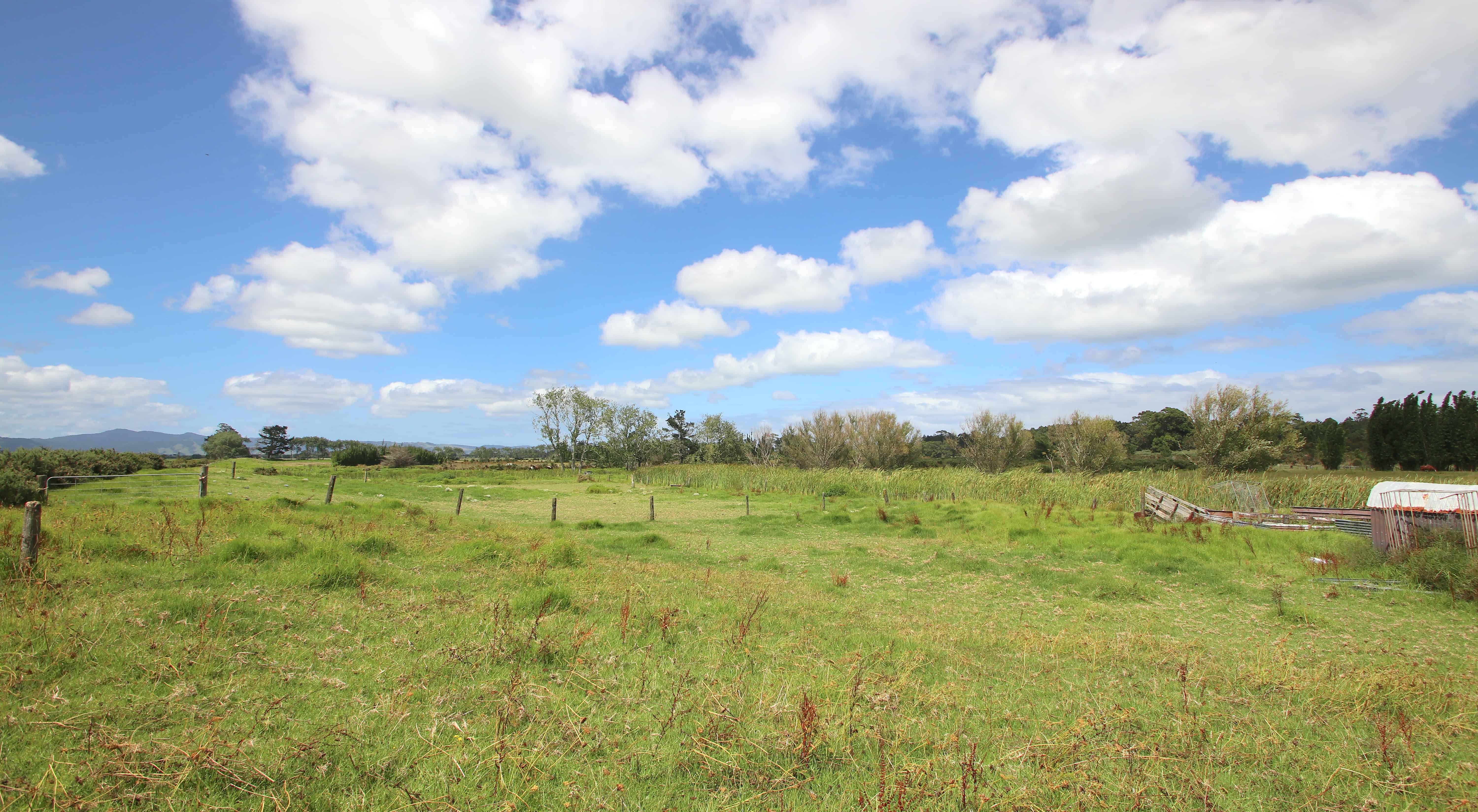 191 Spains Road, Awanui, Far North For Sale realestate.co.nz