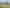 1544 South Road, Manutahi