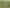 1544 South Road, Manutahi