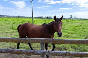 65 Heawa Road, Dargaville