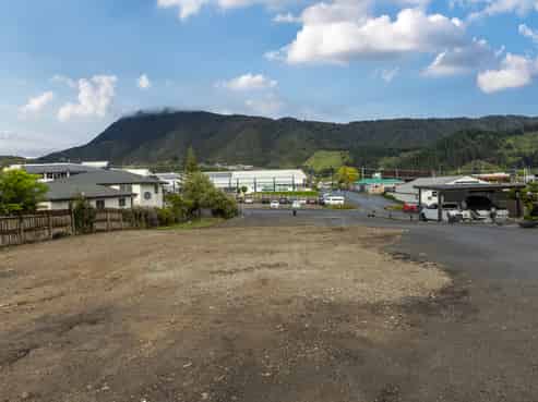 Develop or Land Bank Investment