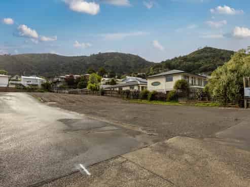 Develop or Land Bank Investment