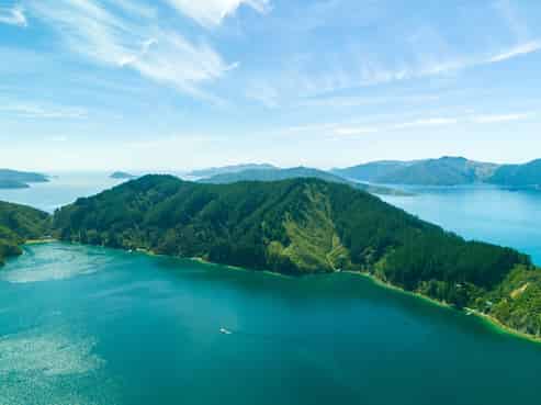  Snake Point, Bay Of Many Coves