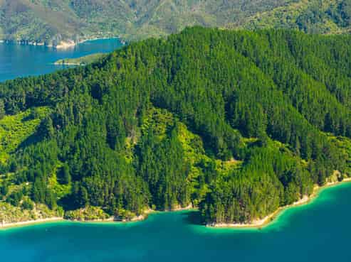  Snake Point, Bay Of Many Coves