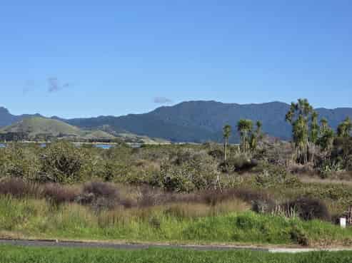 175 Kopani Road, Matarangi