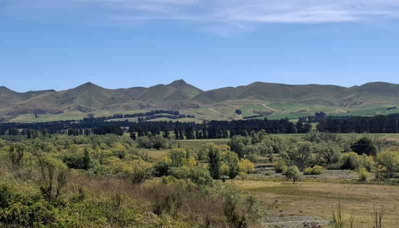 244D Georges Road, Amberley