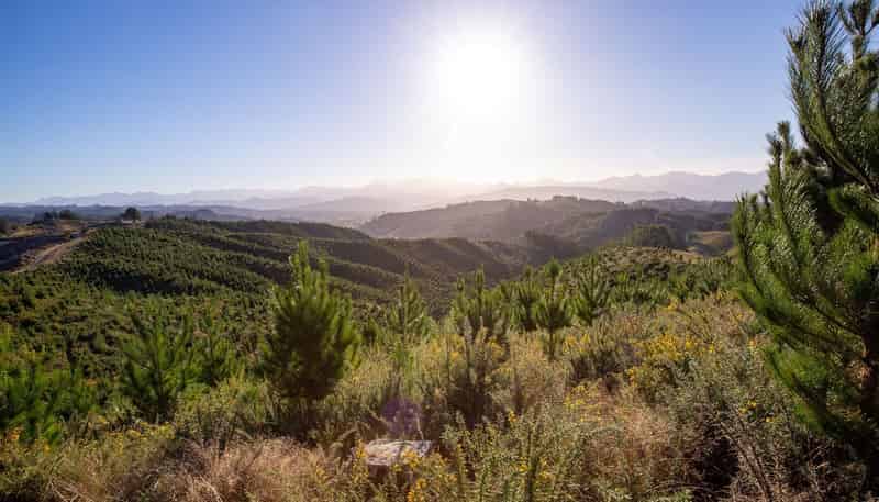  Win Valley Road, Upper Moutere
