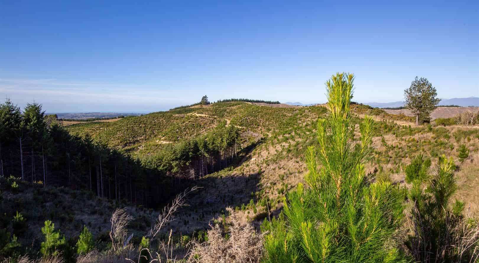 Win Valley Road., Upper Moutere, Tasman For Sale realestate.co.nz