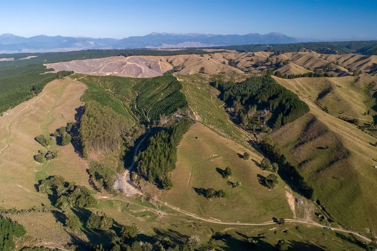 Expand Your Investment- Forestry and Carbon - Mehr