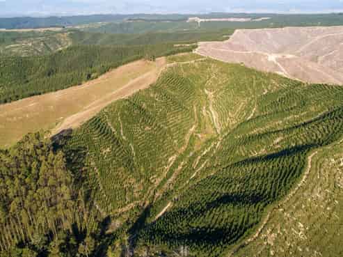  Win Valley Road, Upper Moutere