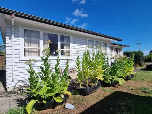 607 Thames Coast Road, Waiomu