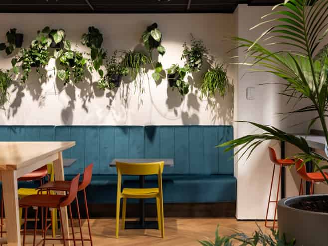 Spectacular Shortland Street opportunity