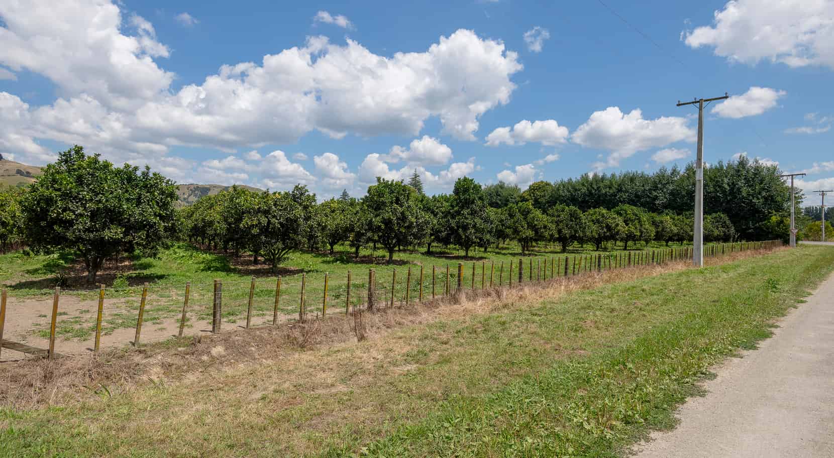 Paulson Road, Te Karaka, Gisborne For Sale realestate.co.nz