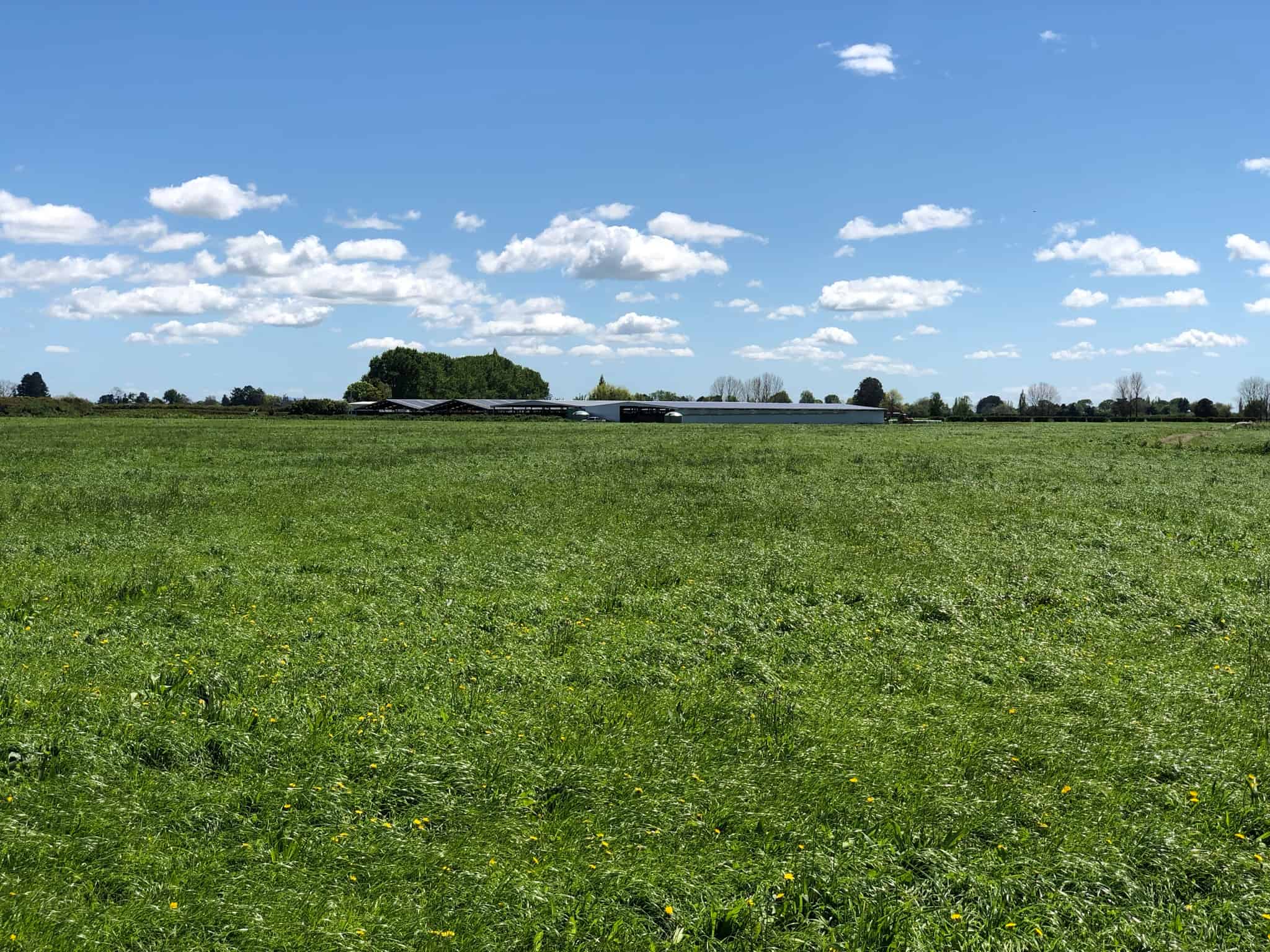 MatamataPiako Rural Farms and Real Estate for Sale realestate.co.nz