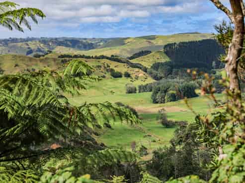 412A Kemp Road, Awhitu