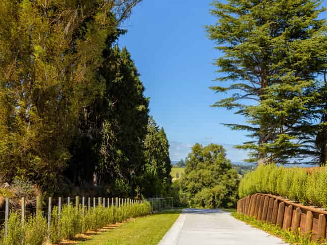 94 Taniwha Place, Bethlehem