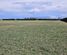481 Thongcaster Road, West Eyreton, Waimakariri, Canterbury