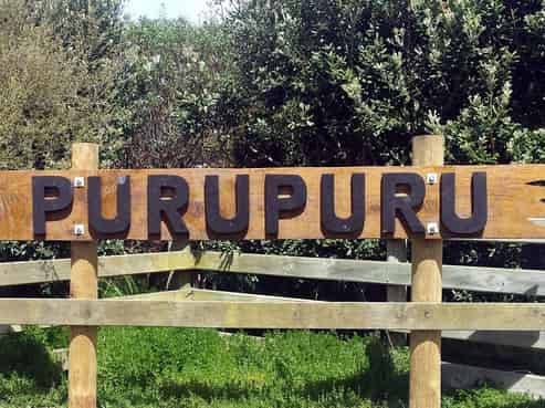 Lot 5, 6 & 9 Purupuru Lane, Oneriri, Kaiwaka