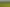 1942 Awhitu Road, Waiuku