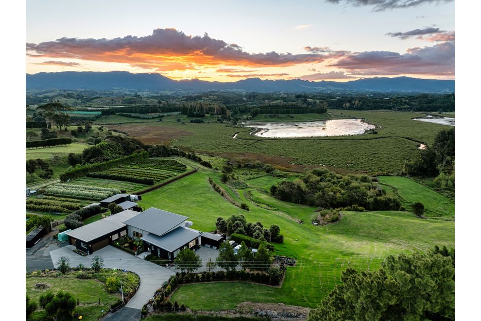 175 Stewart Road, Whakamarama, Western Bay Of Plenty For Sale