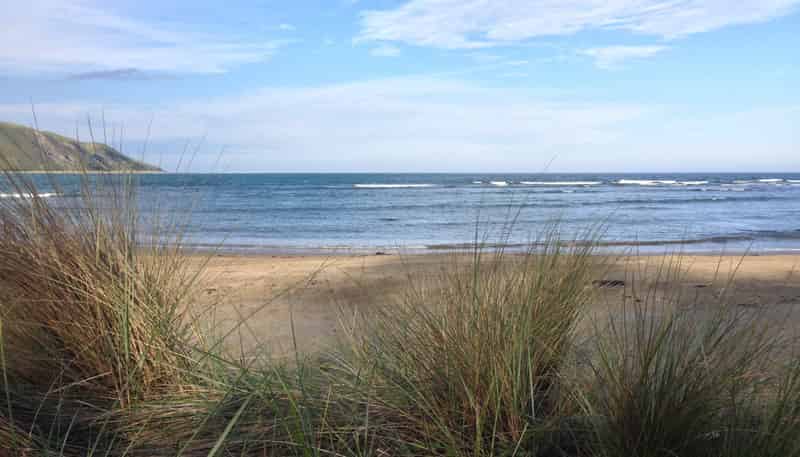 21 Shoal Beach Road, Aramoana