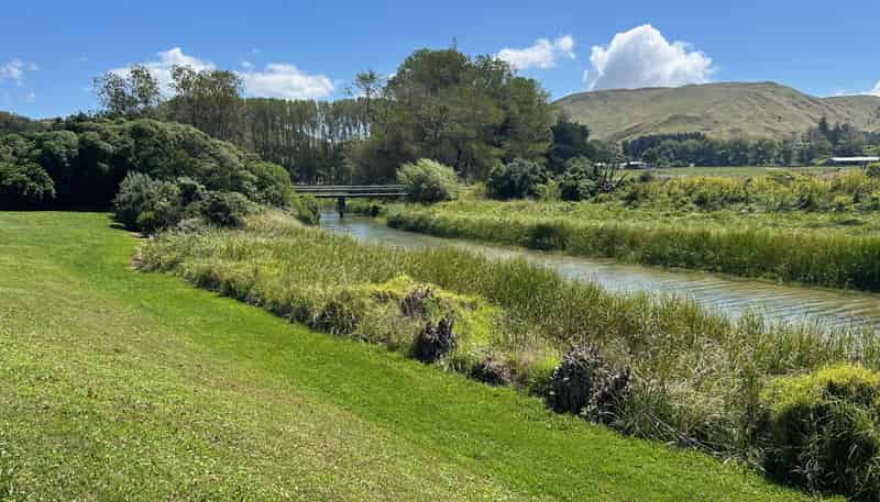 21 Shoal Beach Road, Aramoana