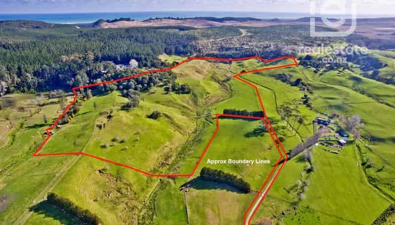 95 Twin Springs Drive, Helensville