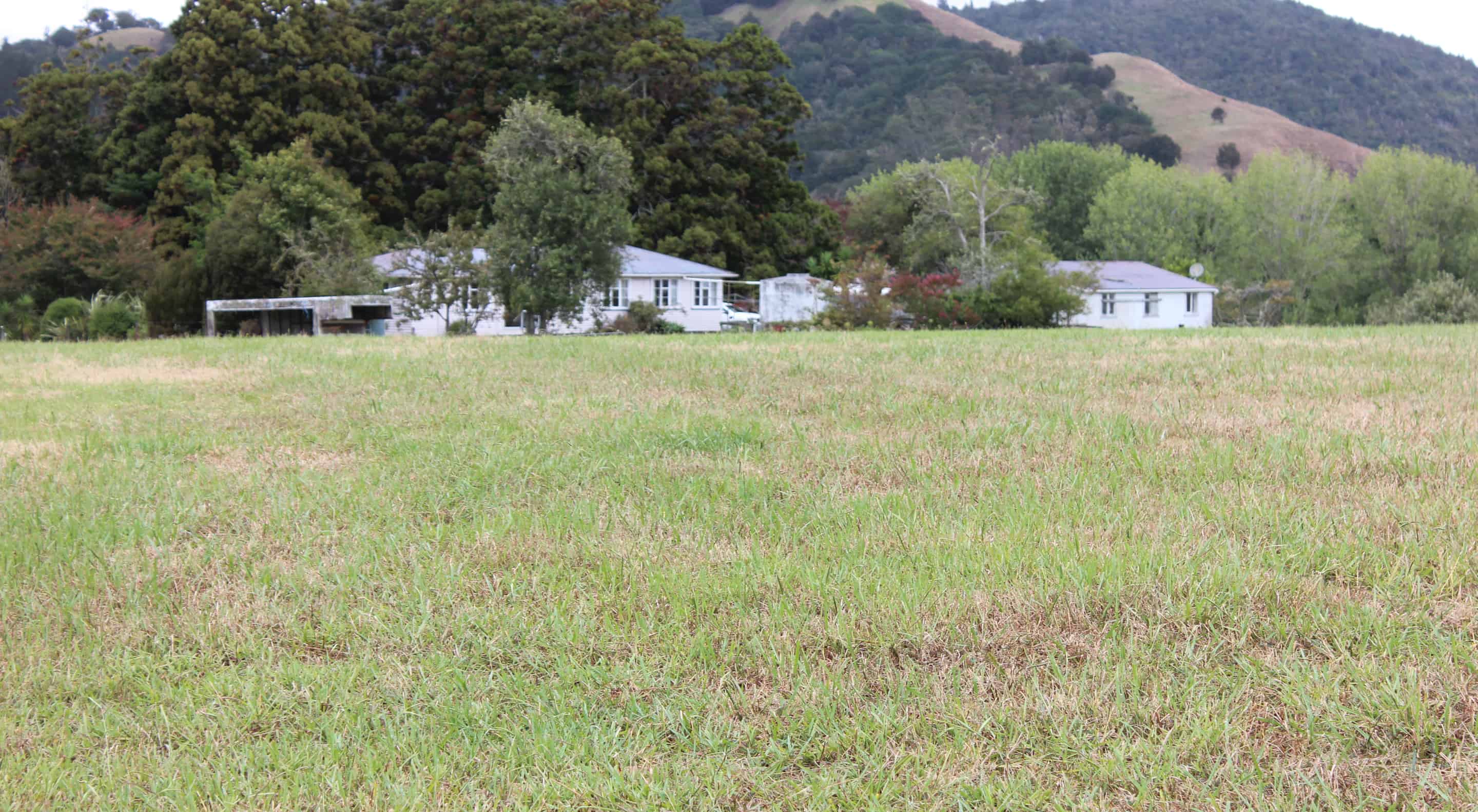 1453 Tangowahine Valley Rd, Tangowahine, Kaipara For Sale