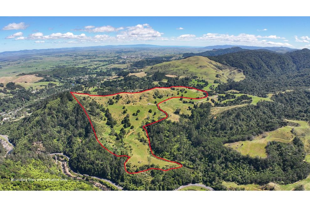 342 Rahu Road, Karangahake, Hauraki For Sale realestate.co.nz