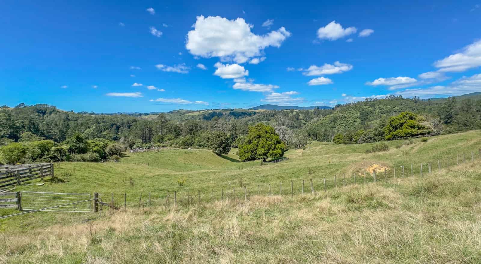 342 Rahu Road, Karangahake, Hauraki For Sale realestate.co.nz