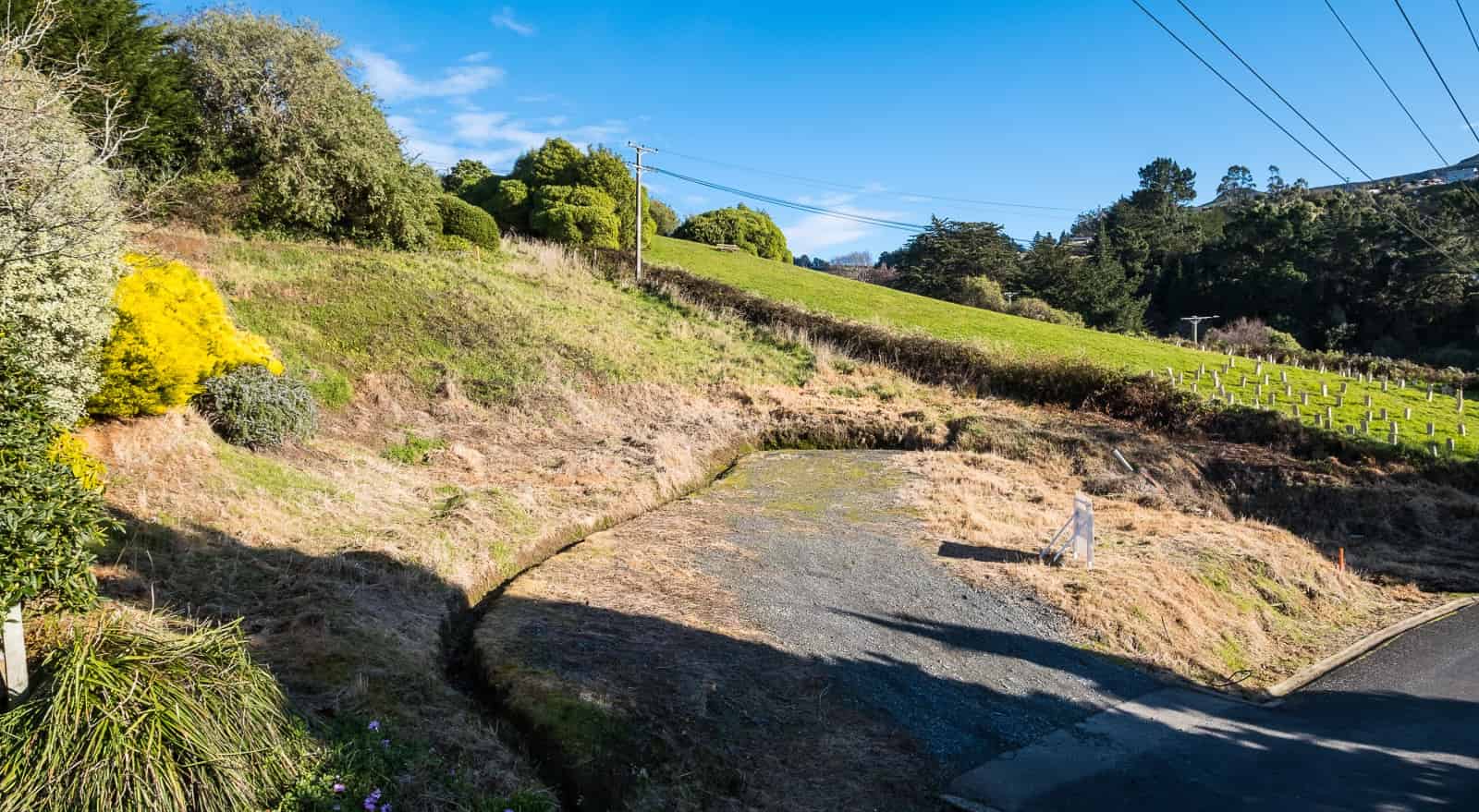 4 Kilgour Street, Roseneath, Dunedin City For Sale realestate.co.nz