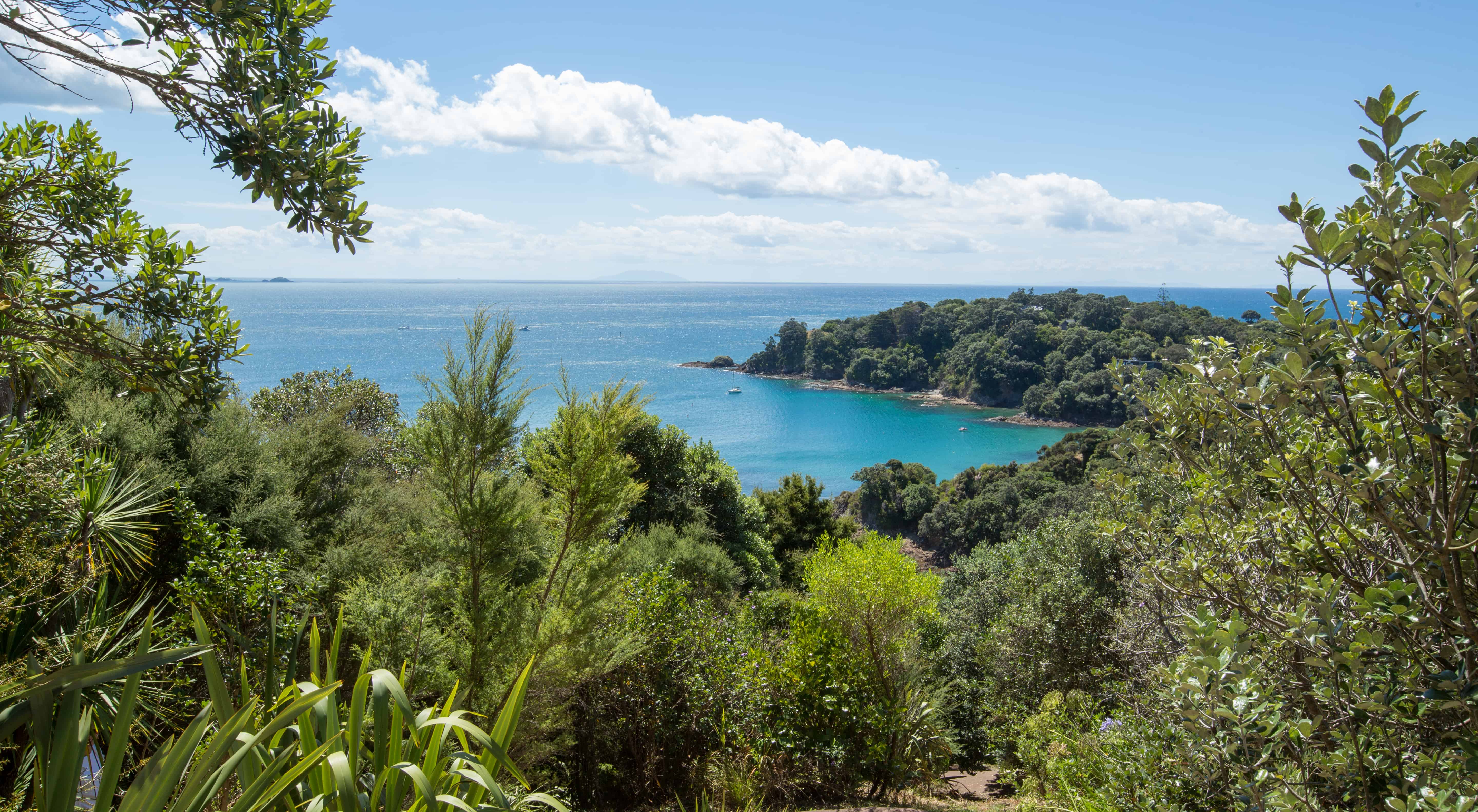 30 Te Aroha Avenue, Oneroa, Waiheke Island For Sale realestate.co.nz