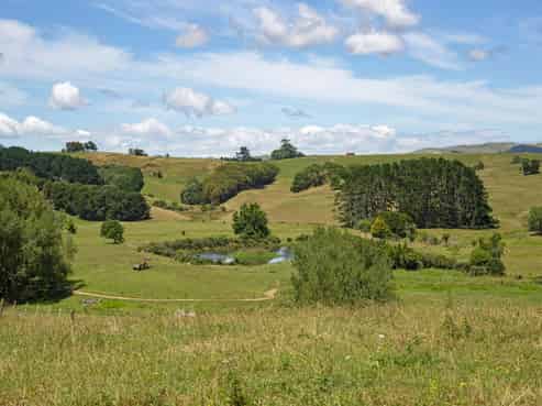 375 Okete Road, Raglan
