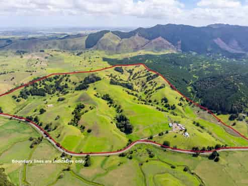 1656 Kirikopuni Valley Road, Tangiteroria